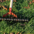 How Lawn Aeration Service In Northern Virginia Supports Better Wildlife Removal Services