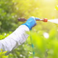 What You Need To Know About A Wildlife Removal Company In Greenbelt, Maryland?
