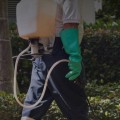 Benefits Of Hiring A Pest Control Service Provider With Expertise In Wildlife Removal In Charleston, SC