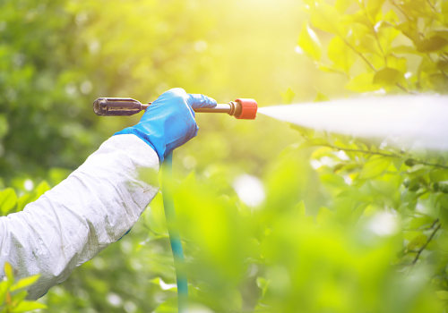 What You Need To Know About A Wildlife Removal Company In Greenbelt, Maryland?