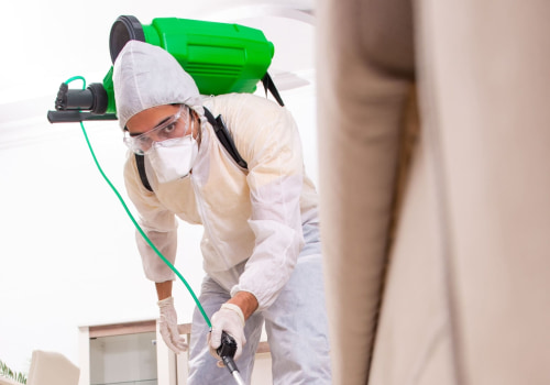 How Wildlife Removal Services Educate Homeowners on Prevention Strategies