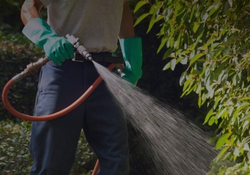 Benefits Of Hiring A Pest Control Service Provider With Expertise In Wildlife Removal In Charleston, SC